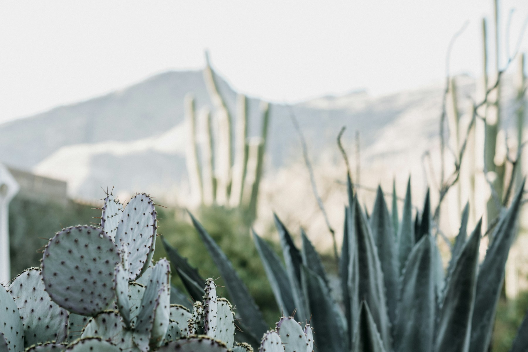 Illustrative Tucson-area photograph
