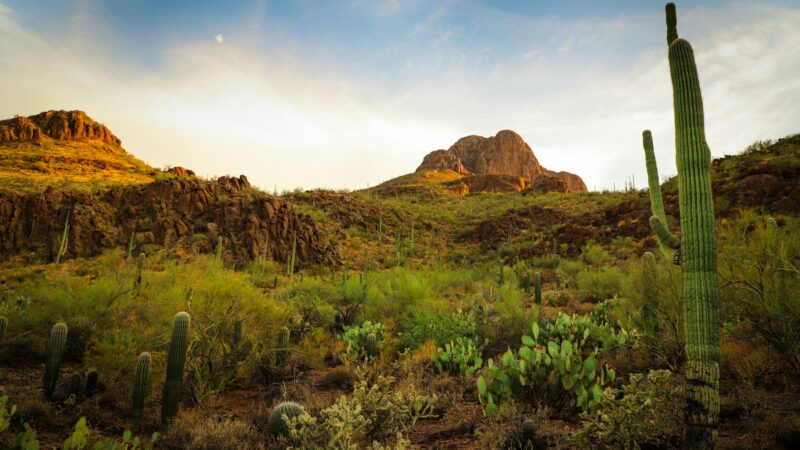 Illustrative Tucson-area photograph