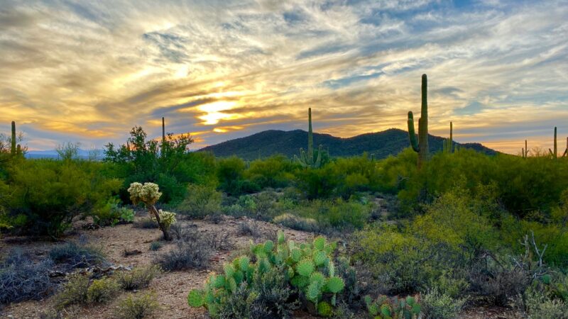 Illustrative Tucson-area photograph