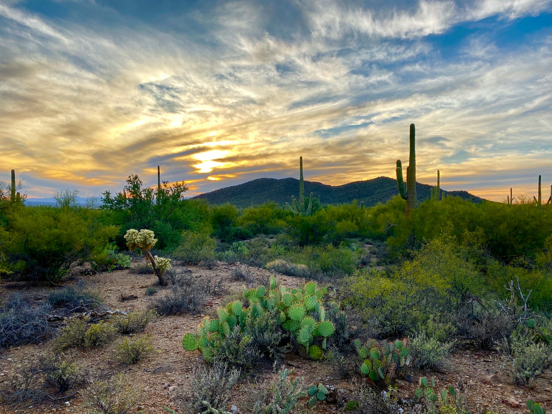Illustrative Tucson-area photograph